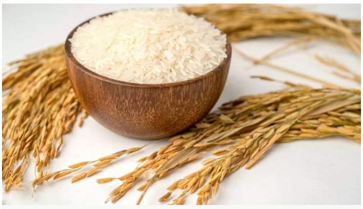 Giá lúa gạo hôm nay 10/3/2026: Thị trường ổn Định, giao dịch cầm chừng