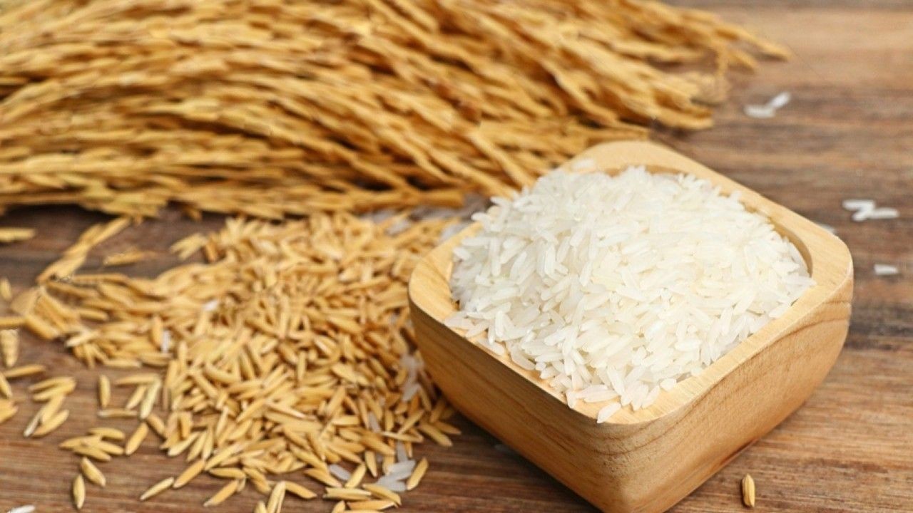 Giá lúa gạo hôm nay 14/4/2026: Giữ trạng thái đi ngang