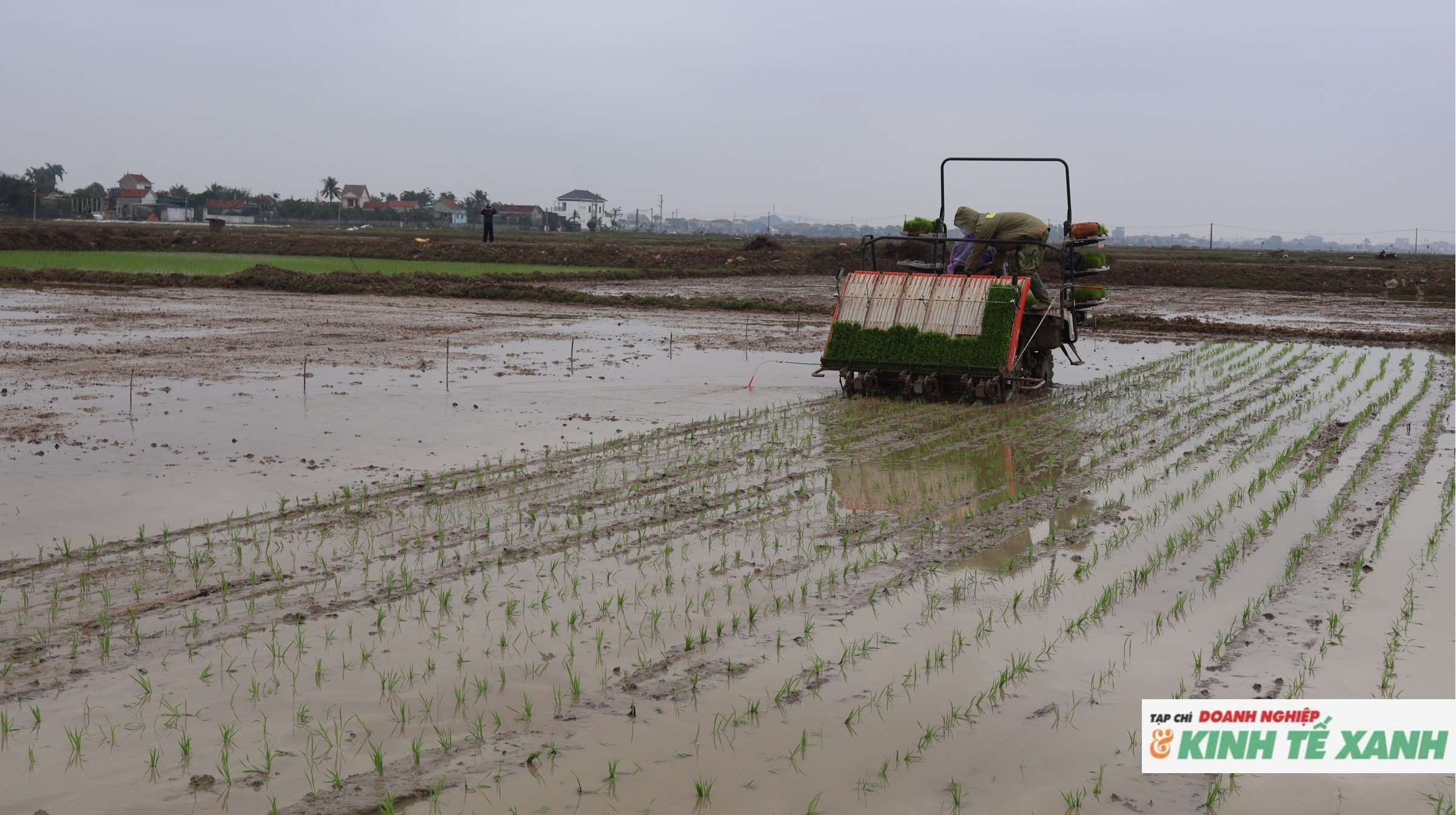 Nông dân Quỳnh Văn đưa máy cấy vào sản xuất lúa vụ xuân 2026