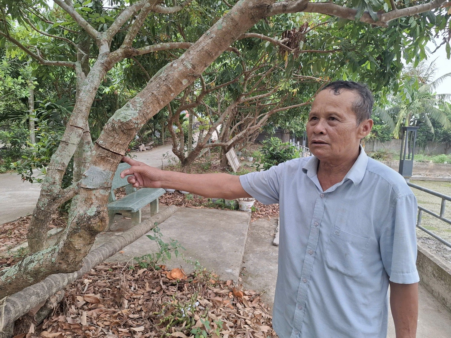 lao-nong-70-1-1779583150.jpg