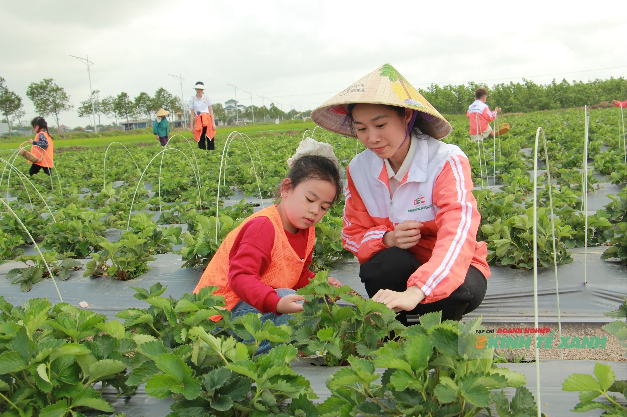 nong-nghiep-xanh-1-1781623240.JPG