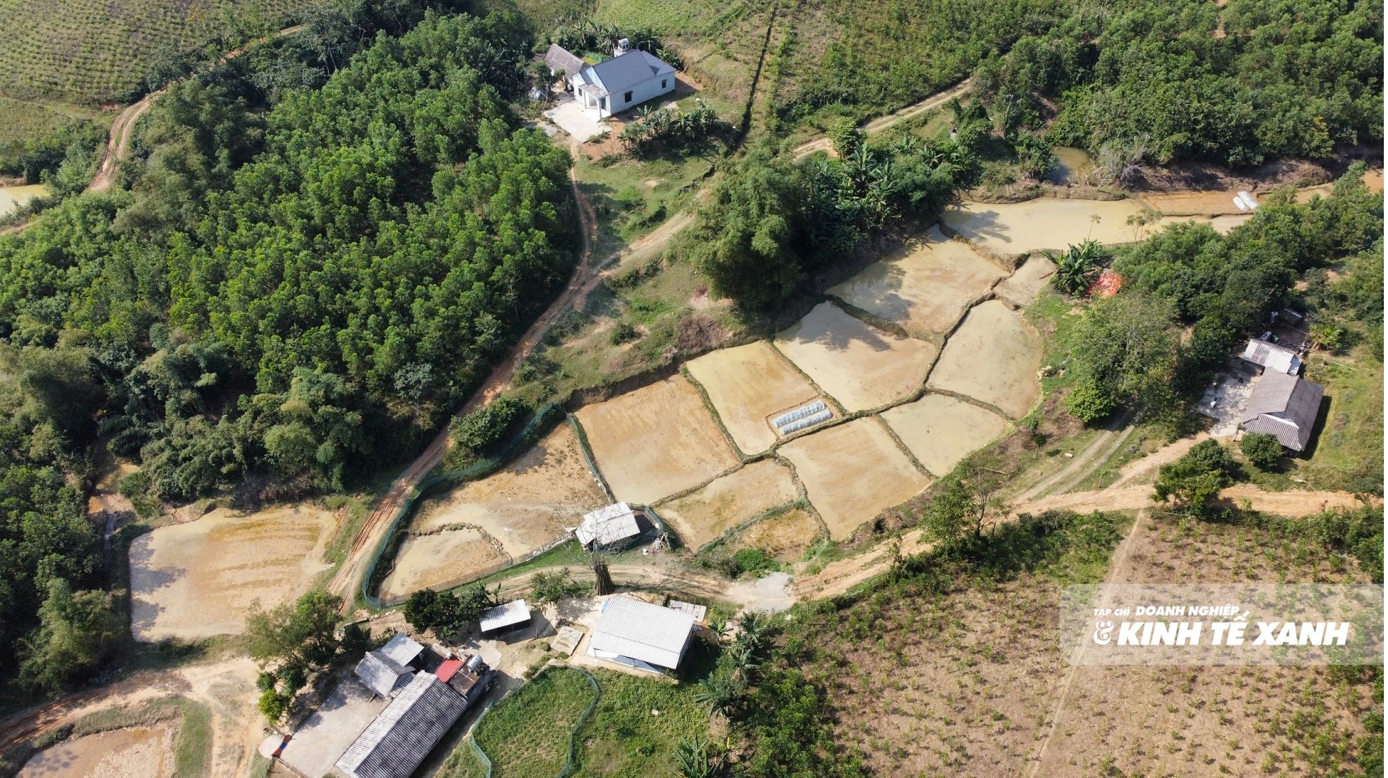 mat-que-1-1783607866.jpg