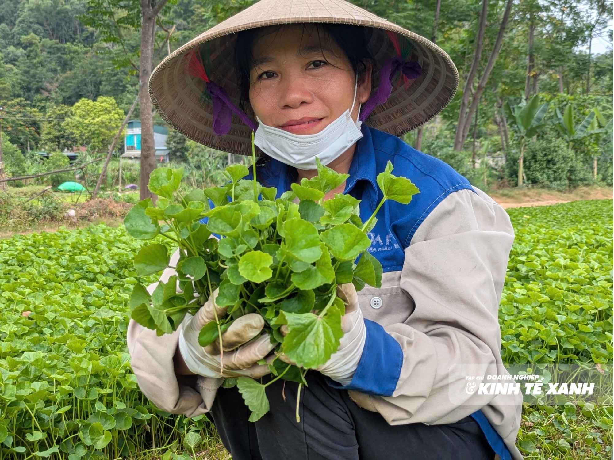 rau-ma-1-1784640104.jpg