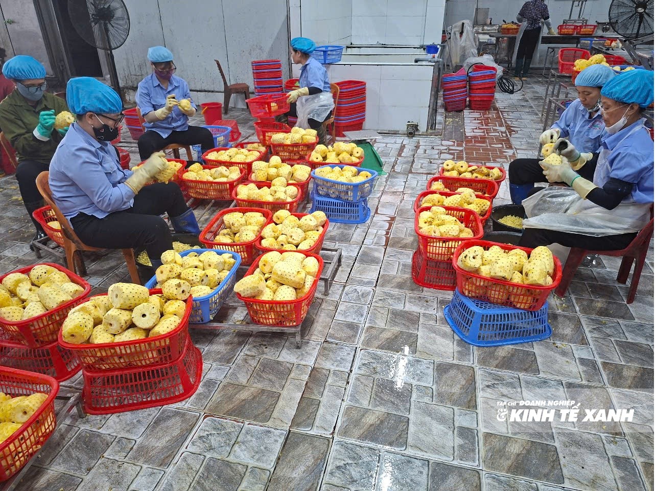 ngo-ngot-5-1786110388.jpg