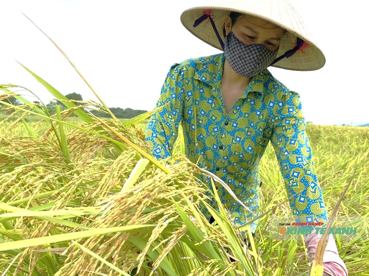 diem-nghen-nong-nghiep-1-1788054155.jpg