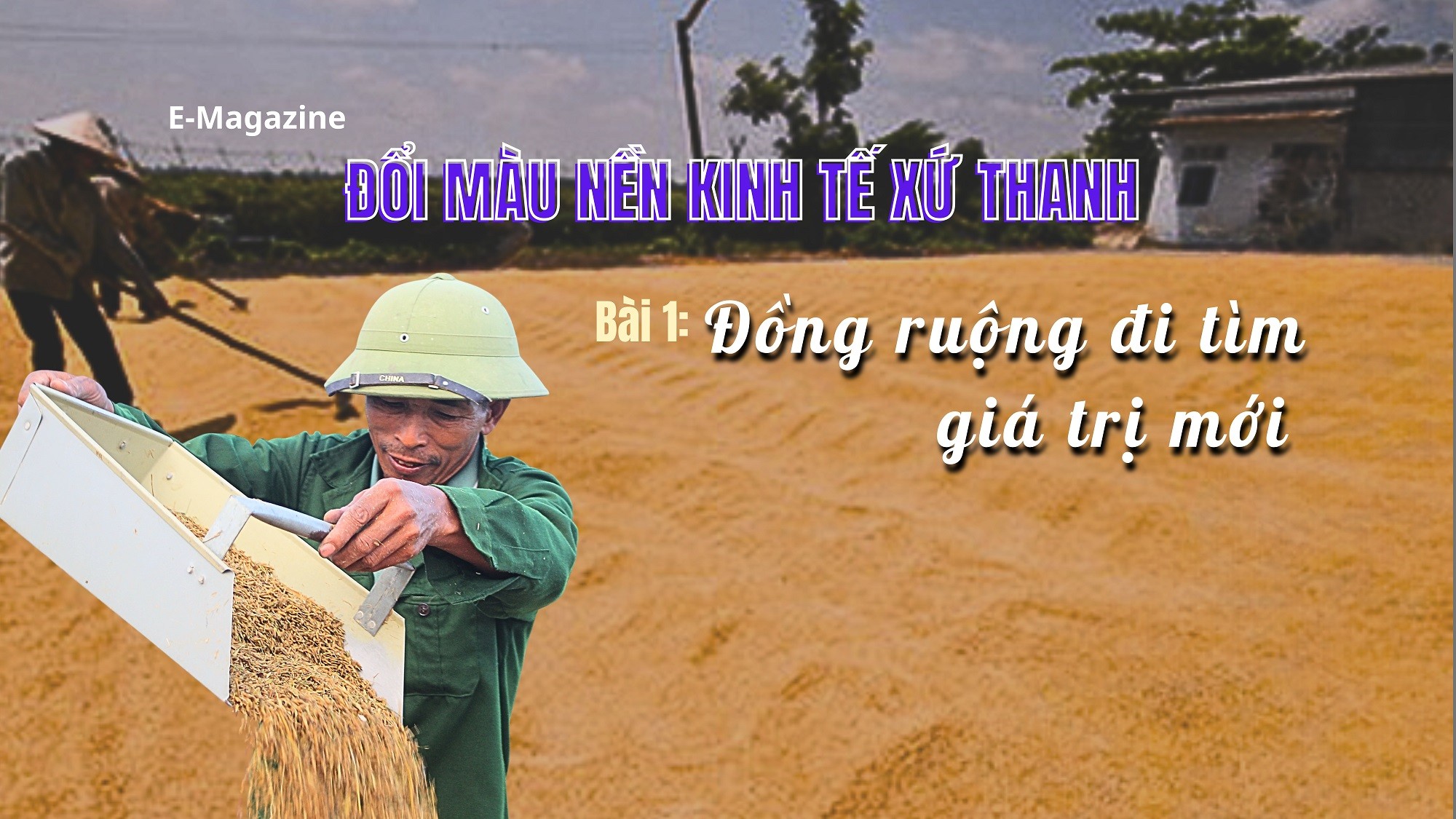 Đổi màu nền kinh tế xứ Thanh - Bài 1: Đồng ruộng đi tìm giá trị mới