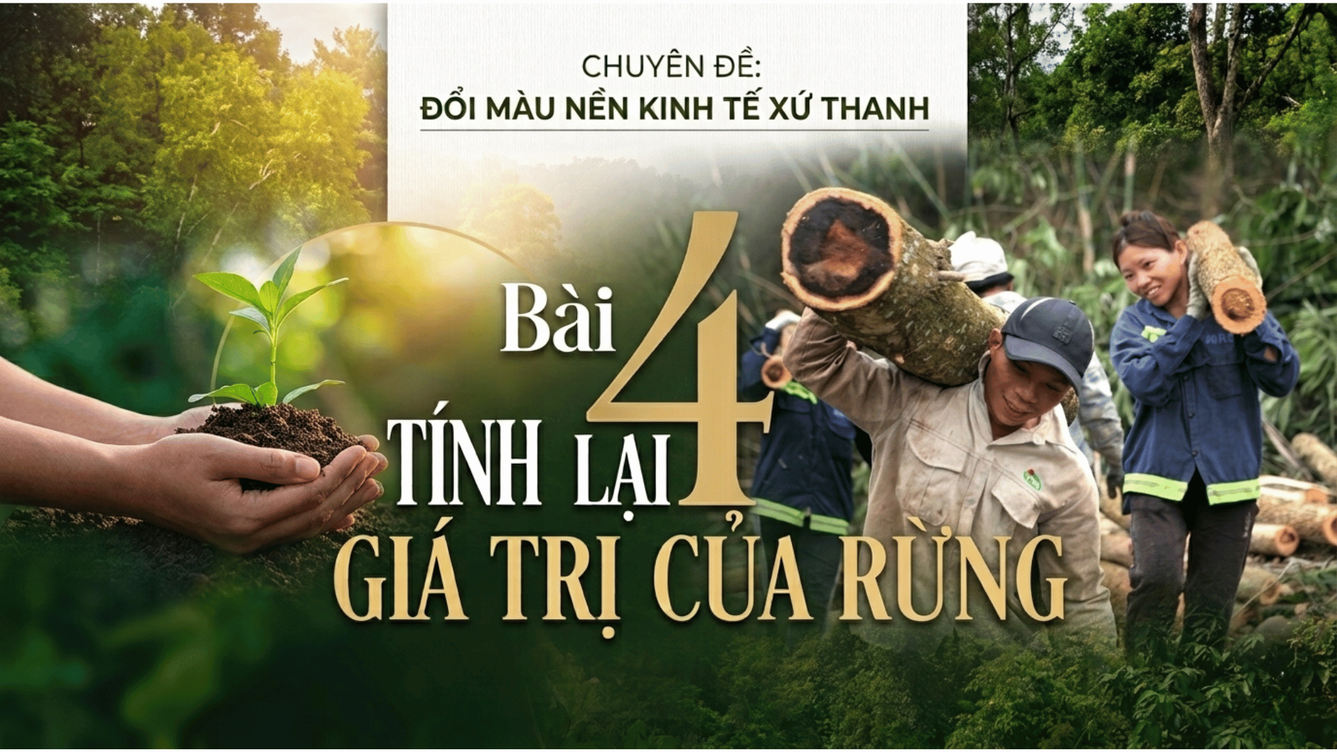 Đổi màu nền kinh tế xứ Thanh - Bài 4: Tính lại giá trị của rừng