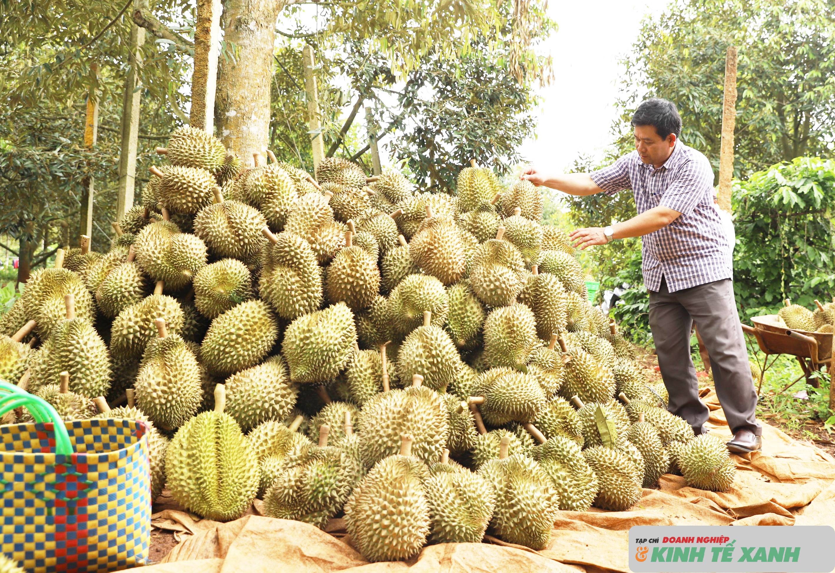 sau-rieng-111-1-1784624094.jpg