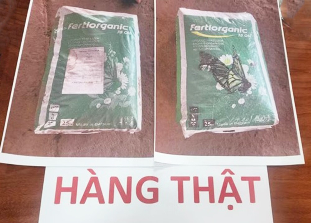 anh1-1790844672.jpg