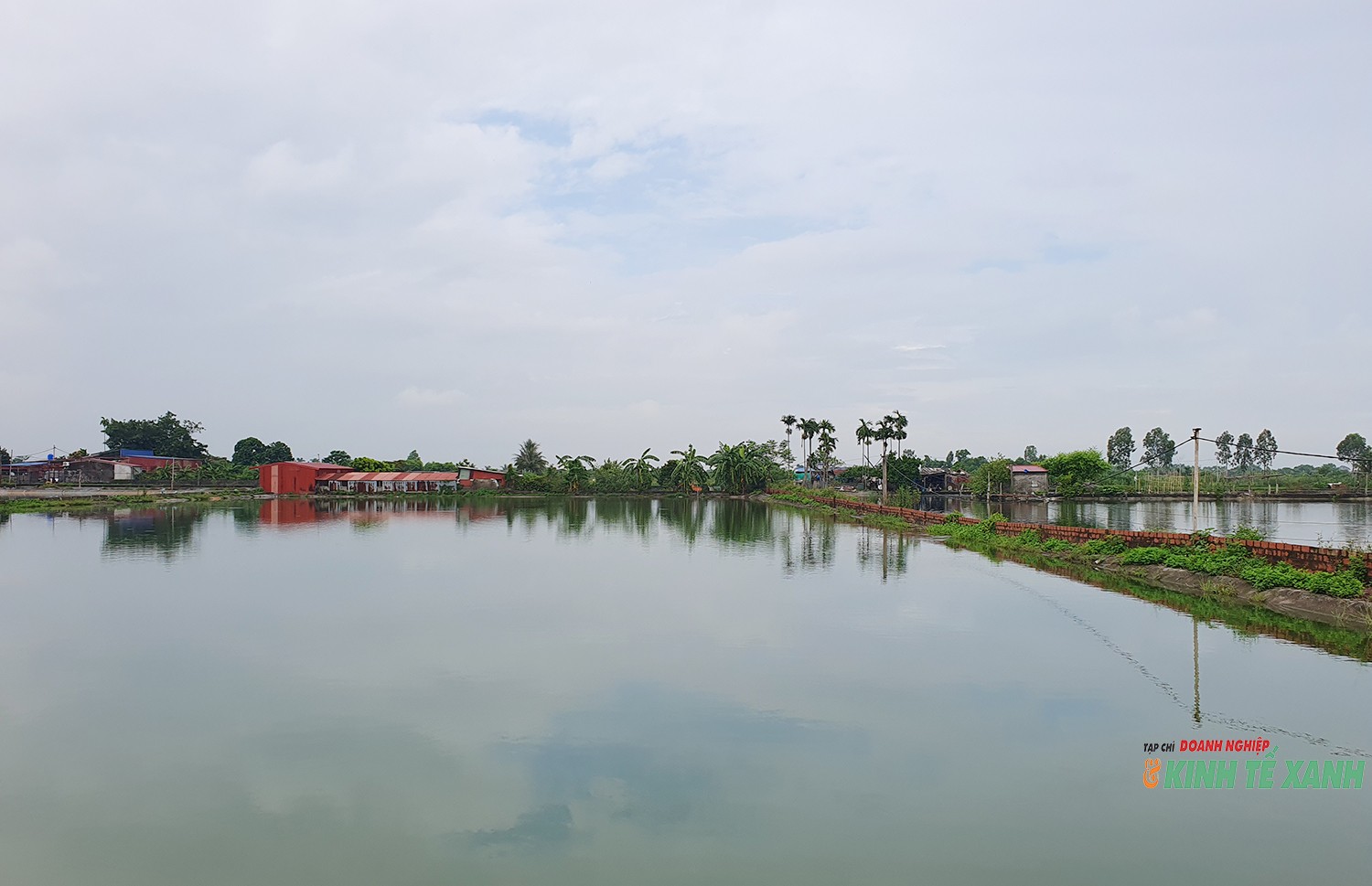 gia-trai-phu-lien2-1786104234.jpg