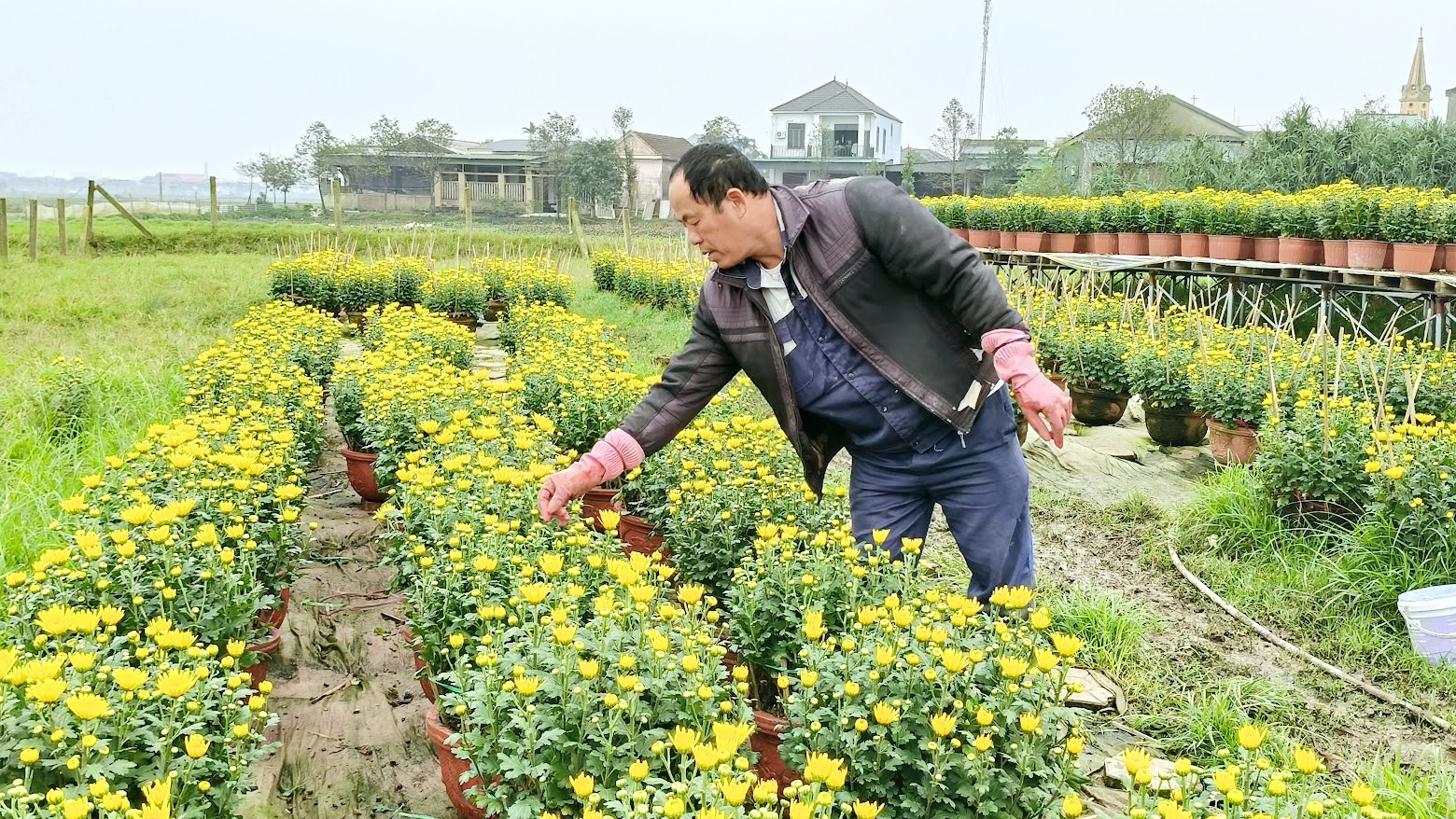 Biến đất hoang thành vườn hoa - Nông dân Hà Tĩnh có thêm nguồn thu