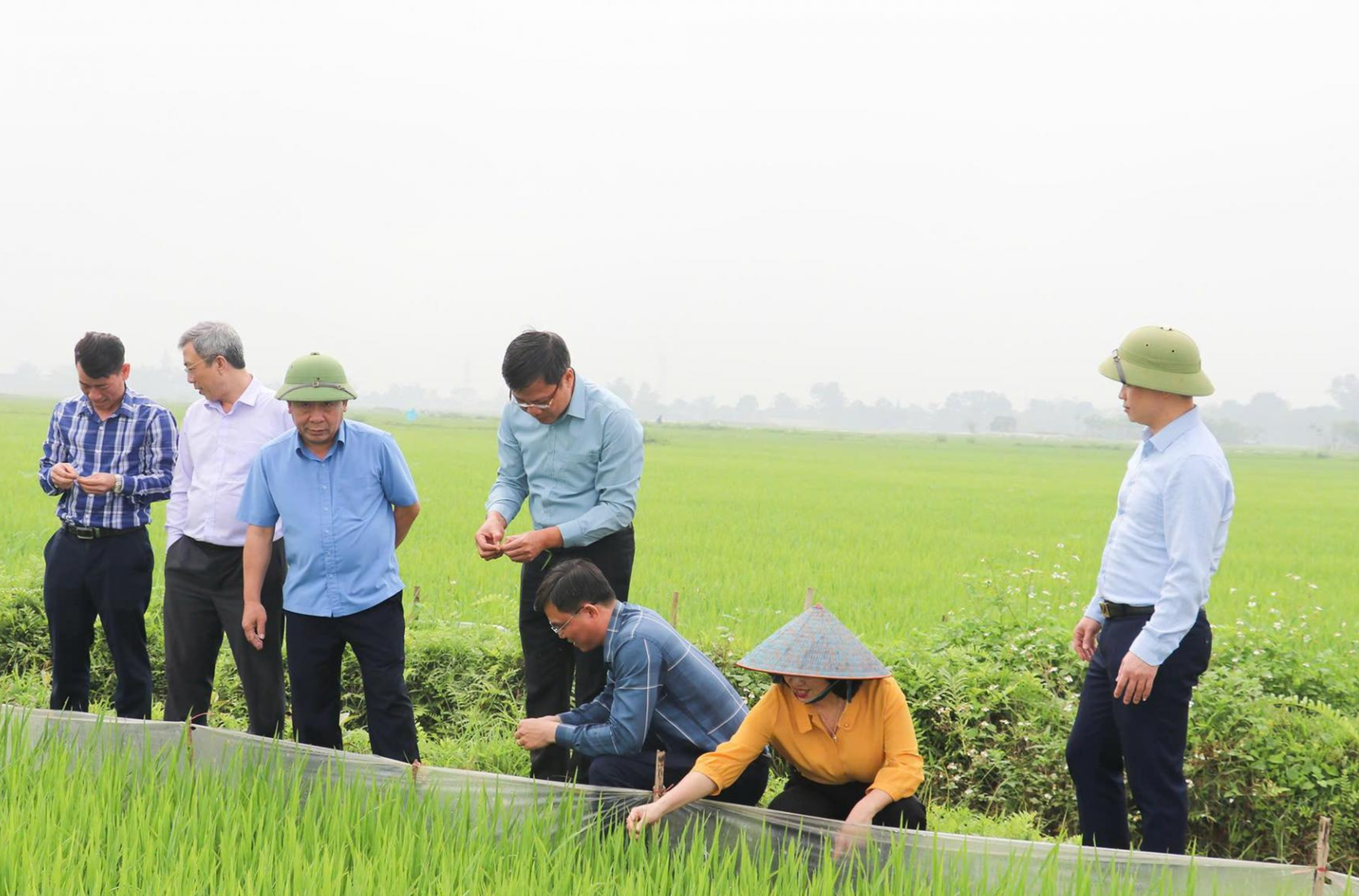 anh-dai-dien-bai-viet-1793149609.png