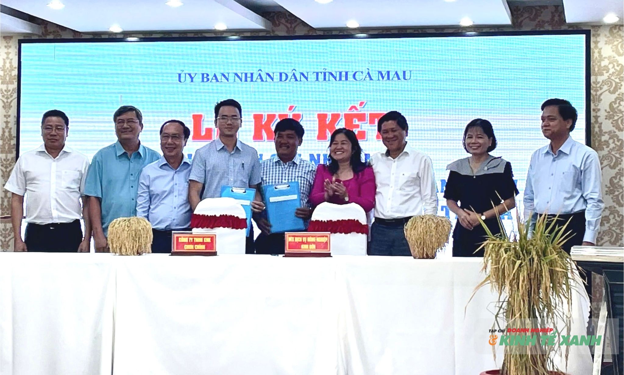 Doanh nghiệp – động lực nâng tầm thương hiệu “gạo Cà Mau” trong kỷ nguyên nông nghiệp xanh