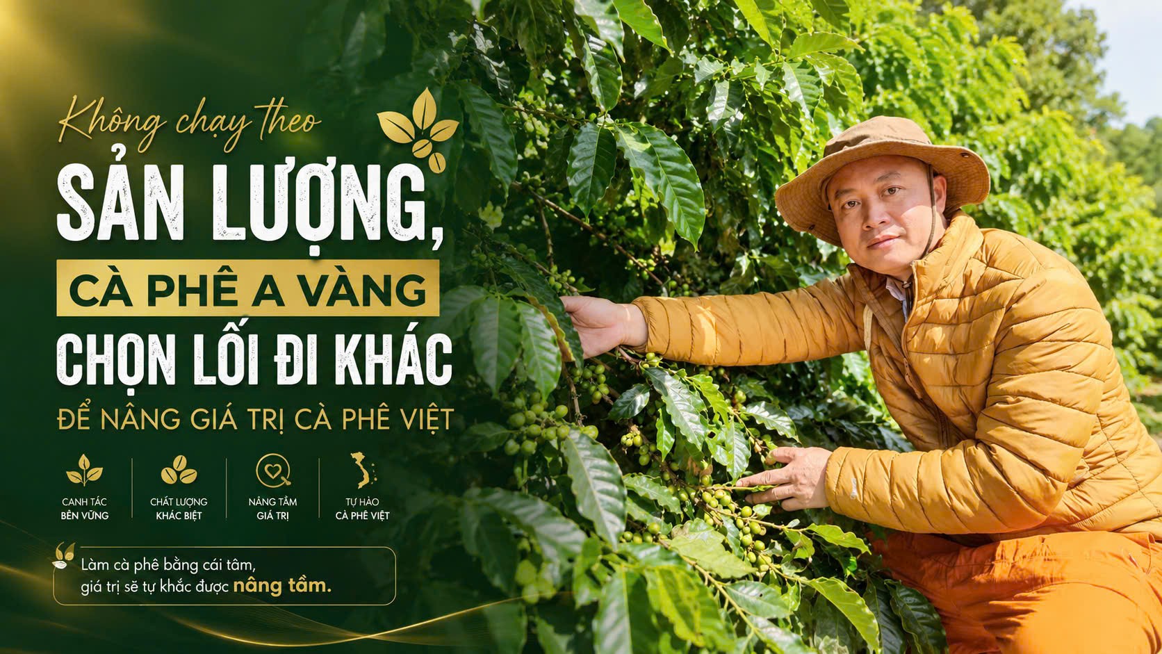 Không chạy theo sản lượng, Cà phê A Vàng chọn lối đi khác để nâng giá trị cà phê Việt