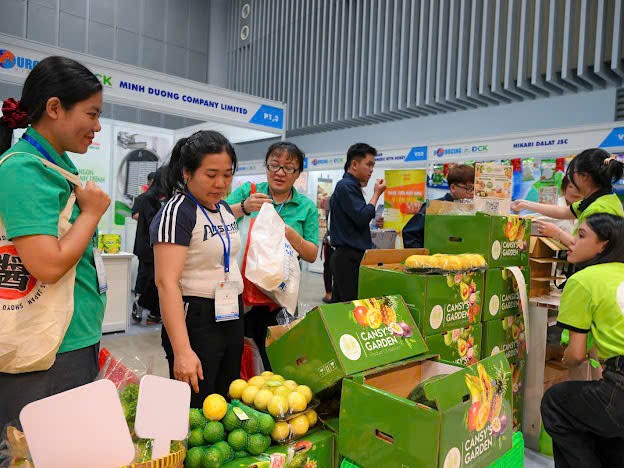 VNFruitVegMarket thúc đẩy chợ đầu mối nông sản trực tuyến, mở rộng thị trường Singapore - Ảnh 2
