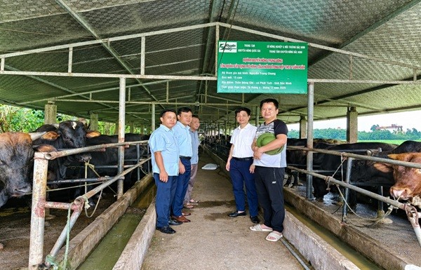kn-bac-ninh-1790206652.jpg