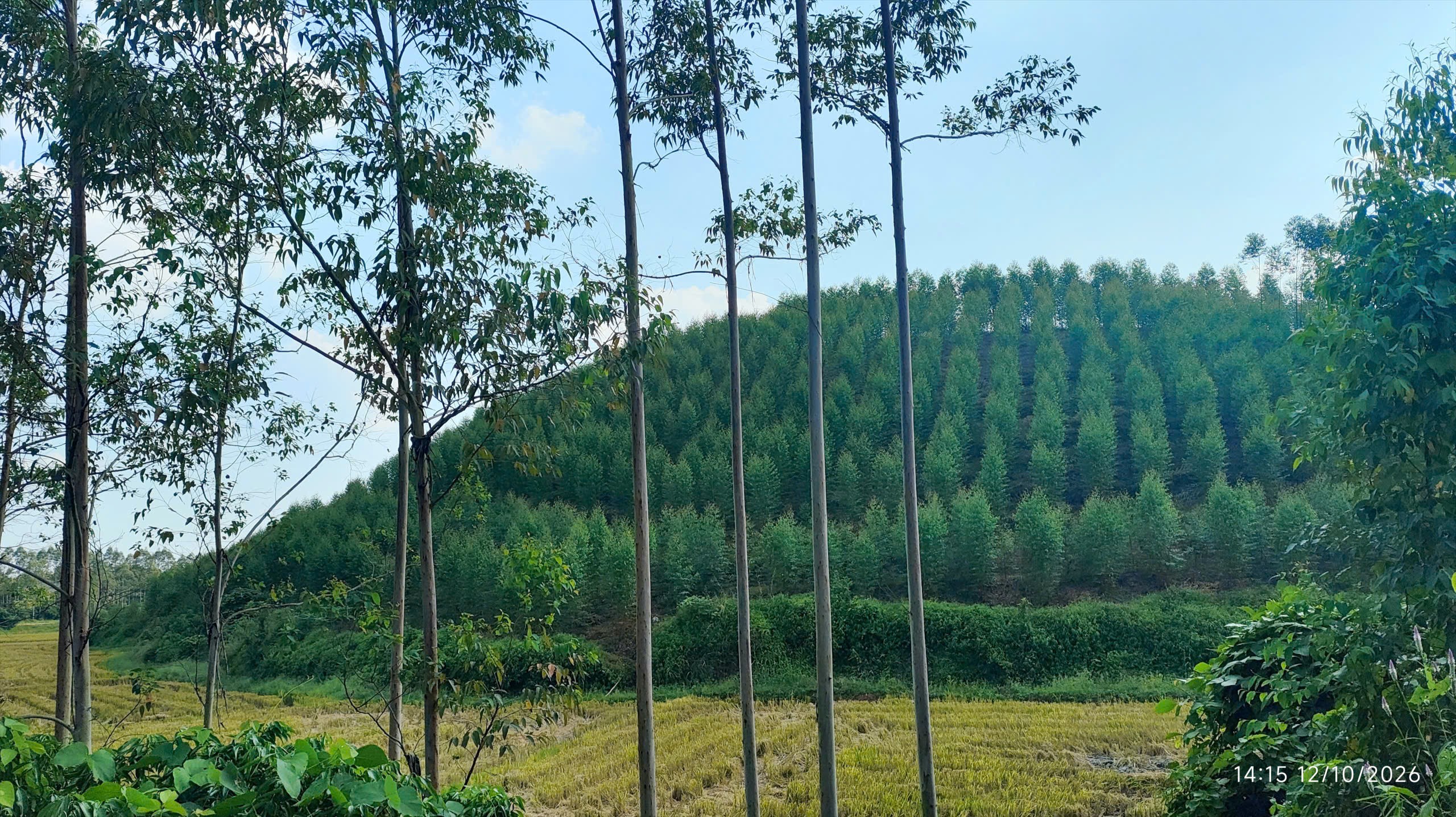dong-ky-3-1791796661.jpg