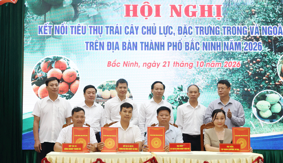 bac-ninh-1792579279.gif