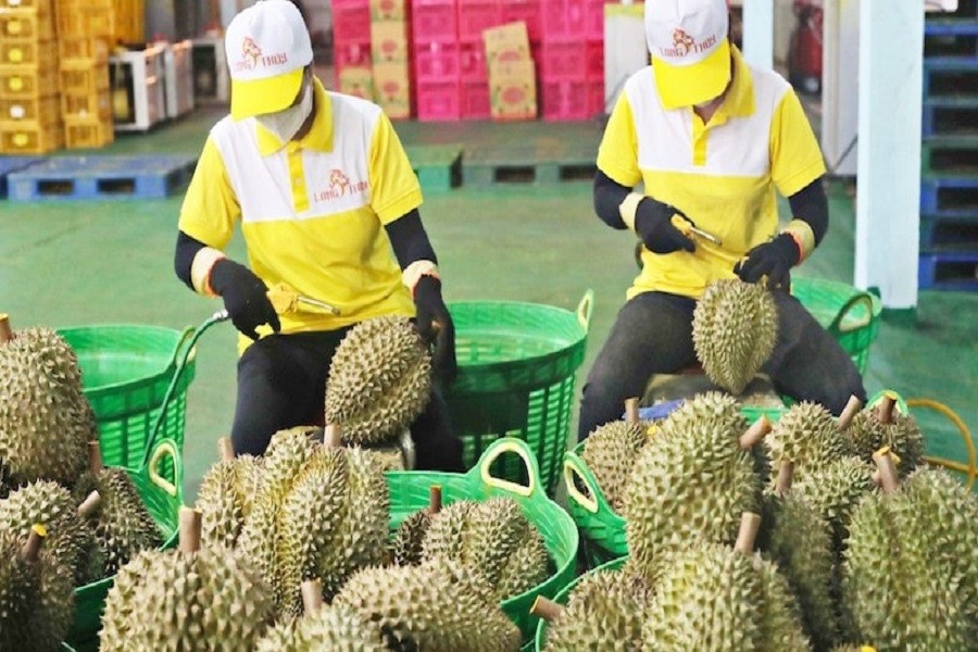 truy-xuat-nguon-goc-nong-san-1778738410.jpg