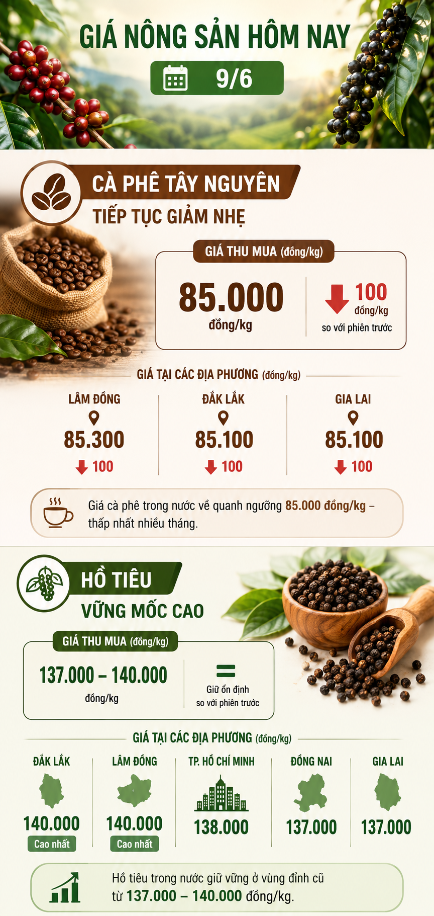 gia-nong-san-ngay-96-1780998783.png
