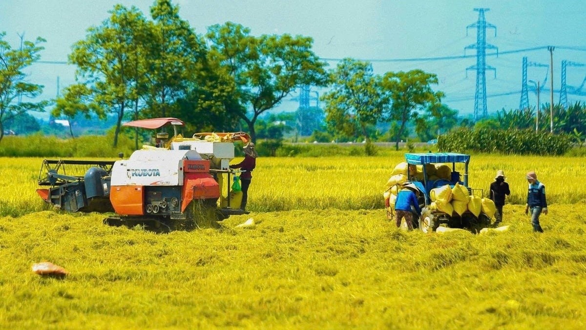 thu-tuc-nong-nghiep-moi-truong-1782477771.jpg