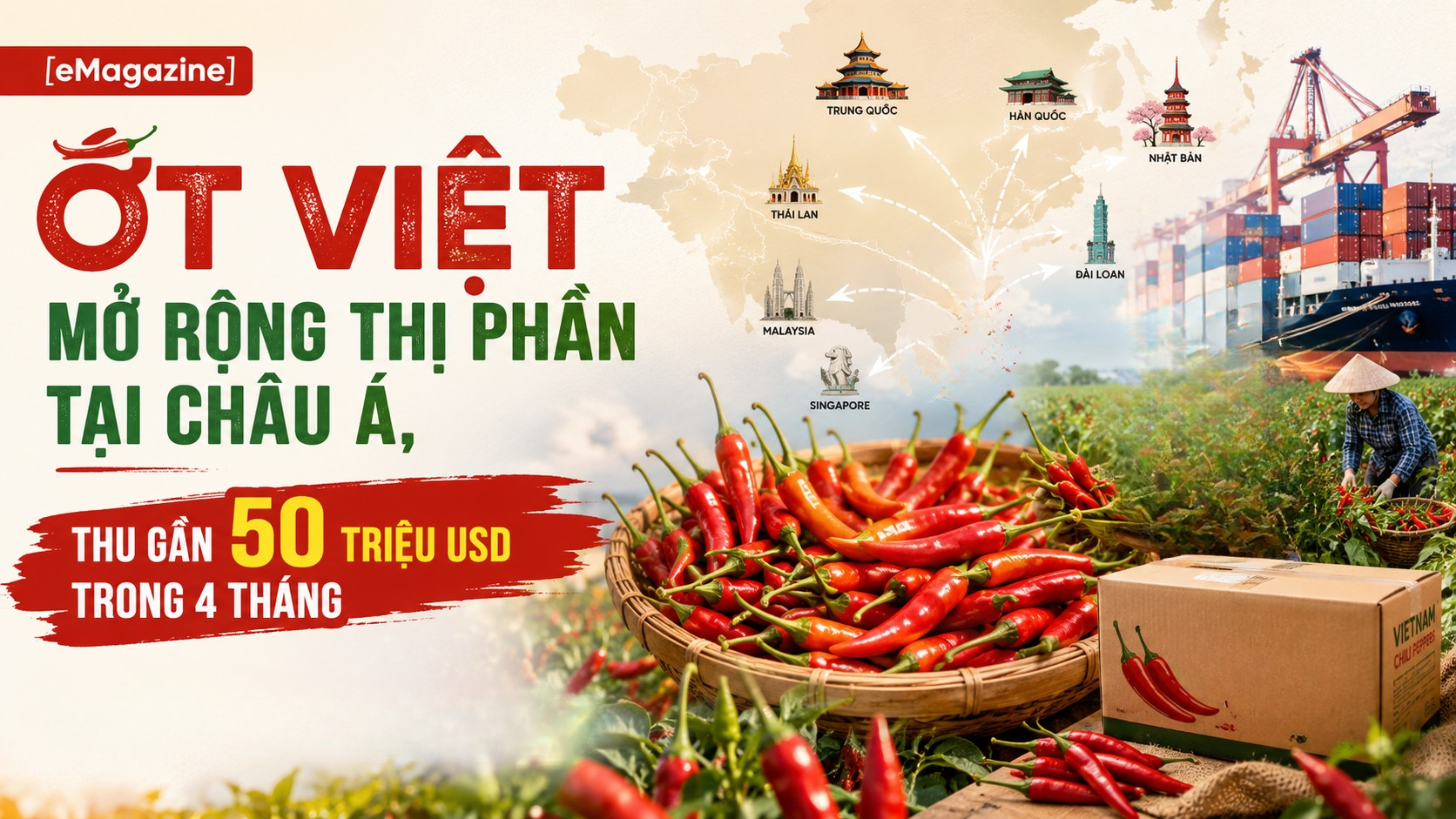 [eMagazine] Ớt Việt mở rộng thị phần tại châu Á, thu gần 50 triệu USD trong 4 tháng