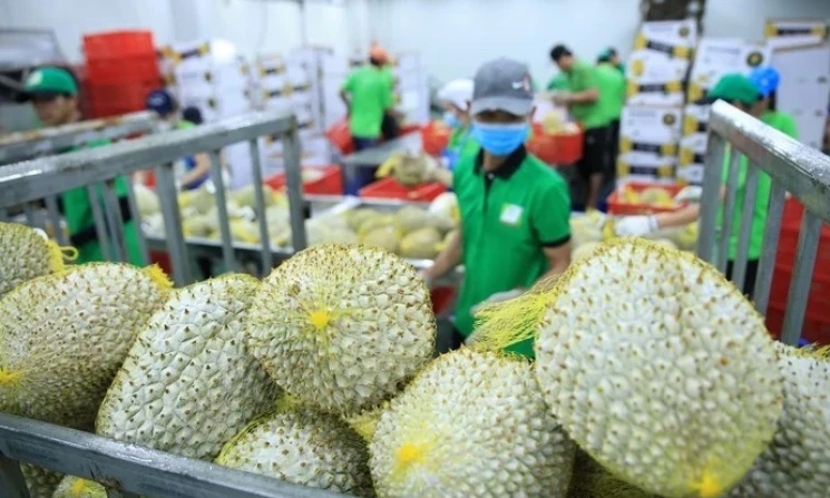 xuat-khau-nong-lam-thuy-san-buoc-vao-22chang-nuoc-rut22-1789612163.webp