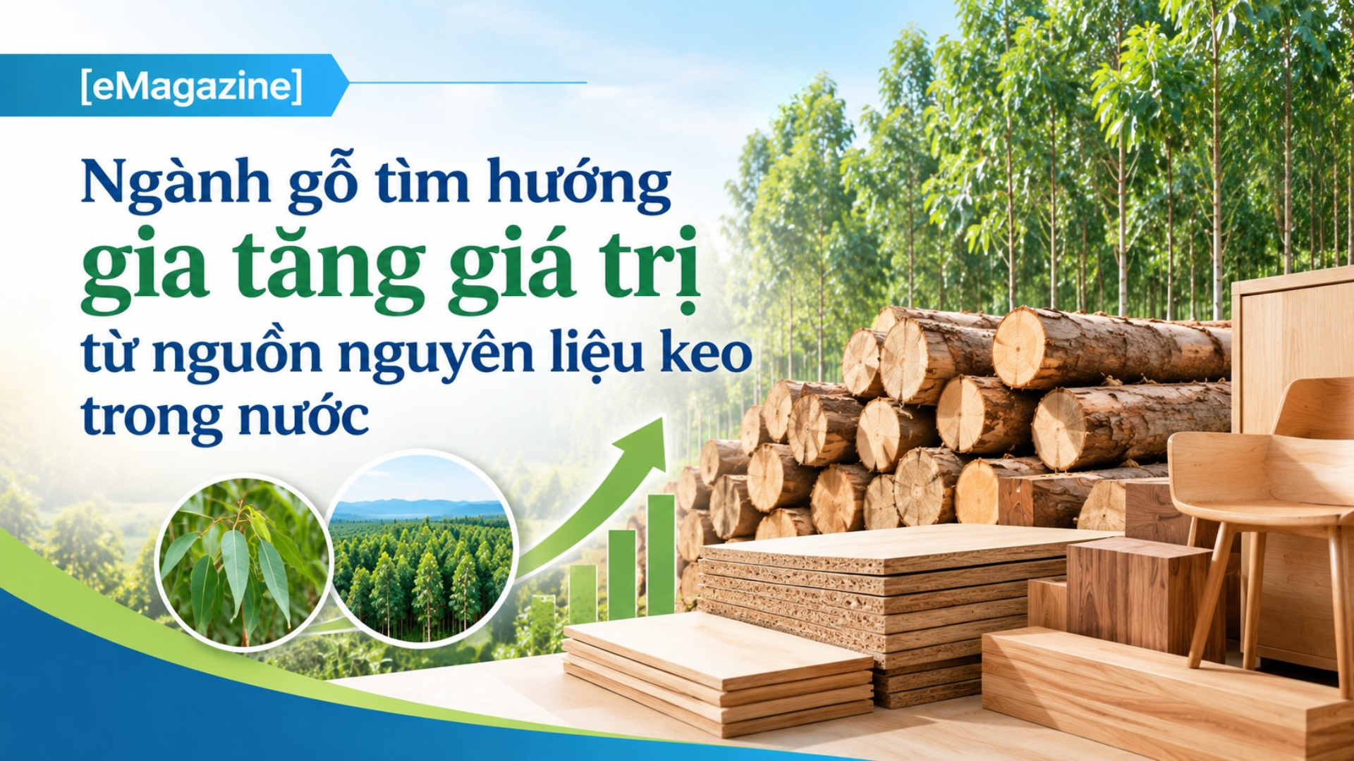 [eMagazine] Ngành gỗ tìm hướng gia tăng giá trị từ nguồn nguyên liệu keo trong nước