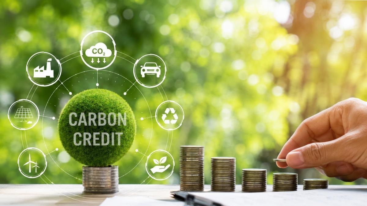 carbon-1793099495.jpg