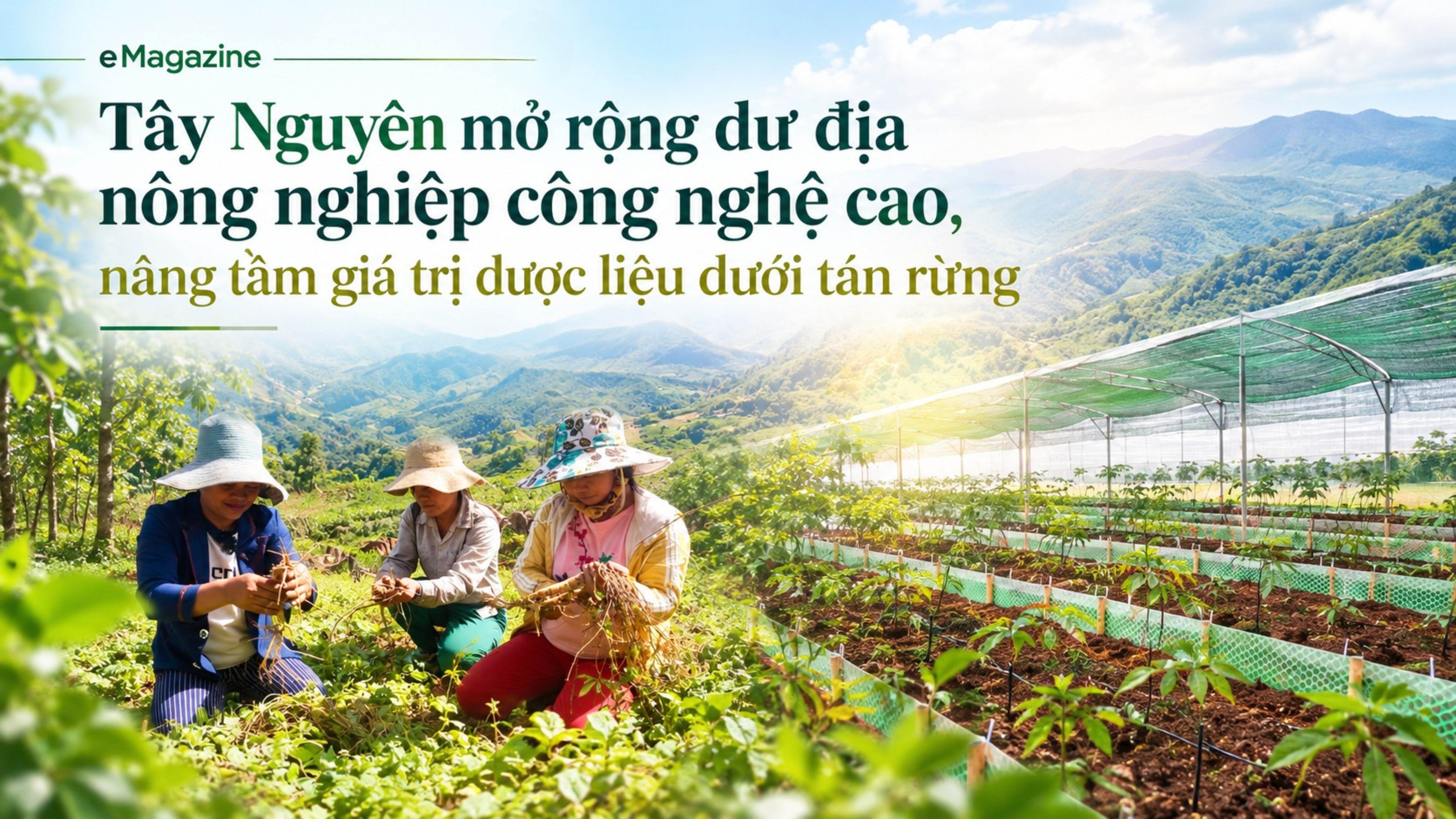 [eMagazine] Tây Nguyên mở rộng dư địa nông nghiệp công nghệ cao, nâng tầm giá trị dược liệu dưới tán rừng