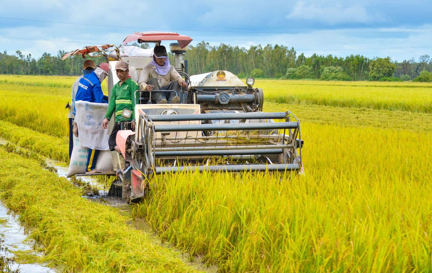 Kiên Giang tăng sức cạnh tranh cho kinh tế nông nghiệp