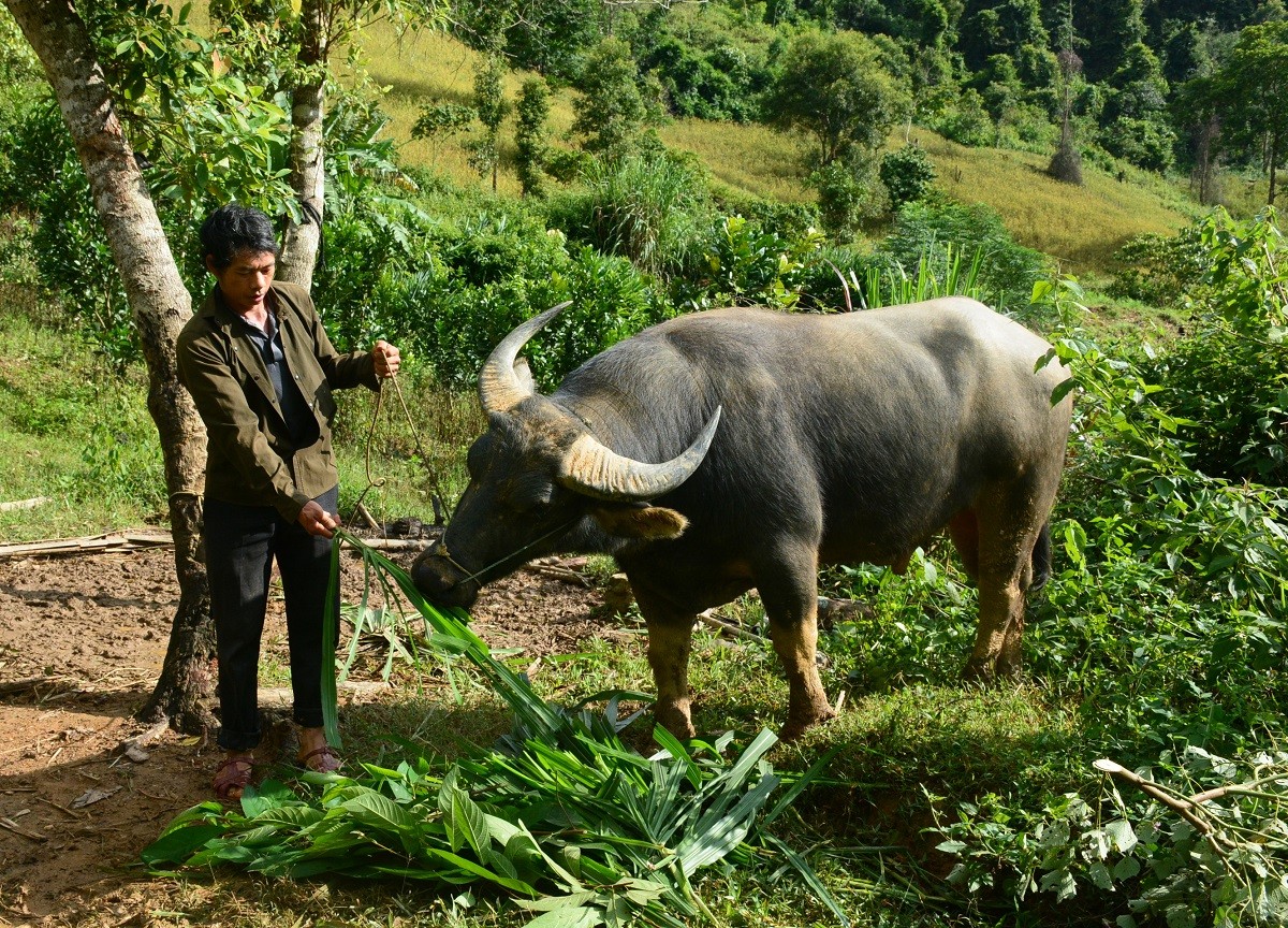 Huyện miền núi Thanh Hóa vươn tới xóa nghèo