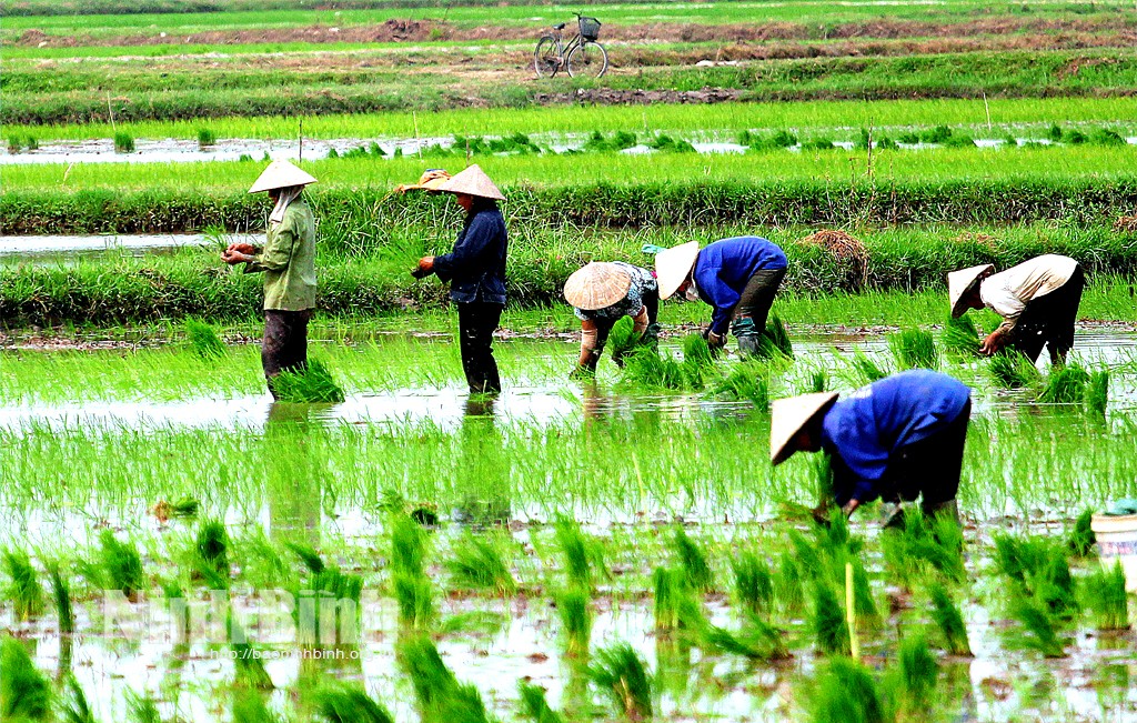 Các địa phương có diện tích lấy nước cho vụ Đông Xuân tăng mạnh