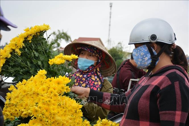 vna-potal-gia-tang-cao-nguoi-trong-hoa-nam-dinh-trung-lon-stand-1643449446.jpeg