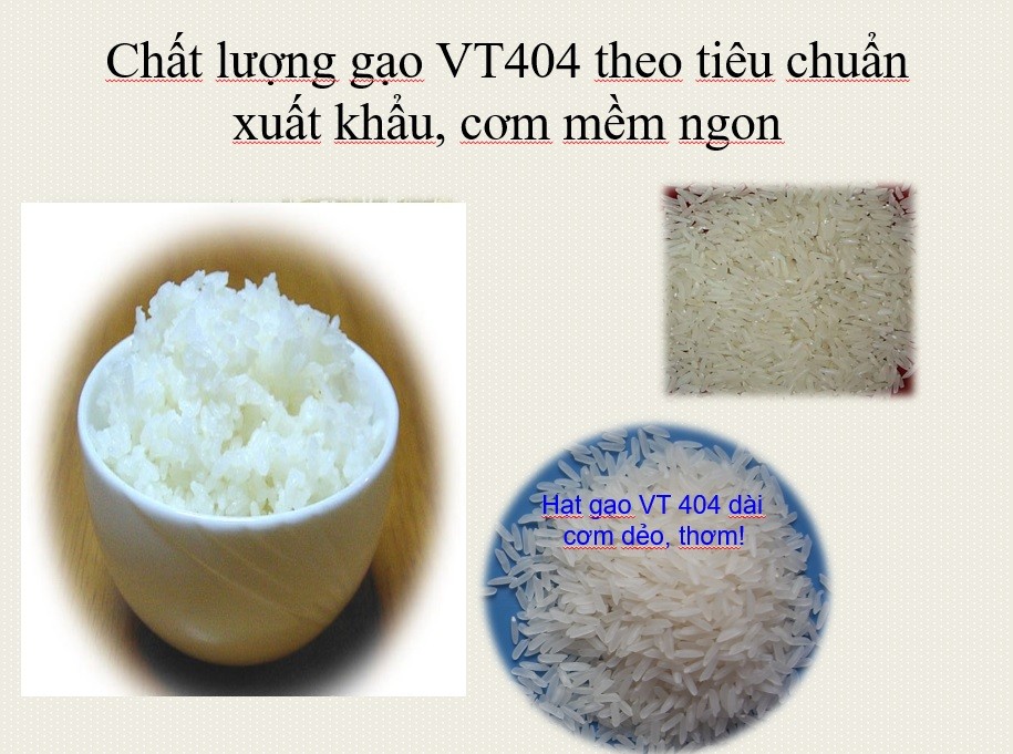 chat-luong-gao-va-com-tu-lua-vt404-1656146987.jpg