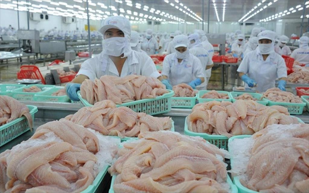 Hình ảnh: Giá cá tra phile đông lạnh Việt Nam xuất khẩu sang Mỹ tăng mạnh số 1