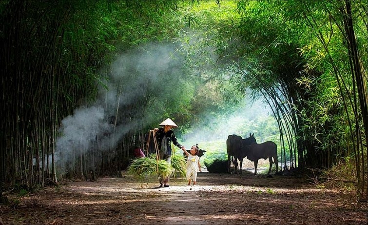 Hòa mình vào tinh hoa văn hóa miền Bắc Việt Nam thông qua bức ảnh Đảo Ngọc - quê hương Bắc Giang, nơi đầy sức sống và nét đẹp độc đáo của vùng đất này.