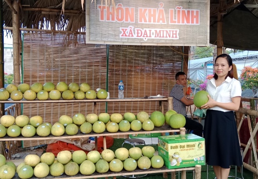 Xây dựng thương hiệu cho cây tạo kế sinh nhai, xoá đói giảm nghèo