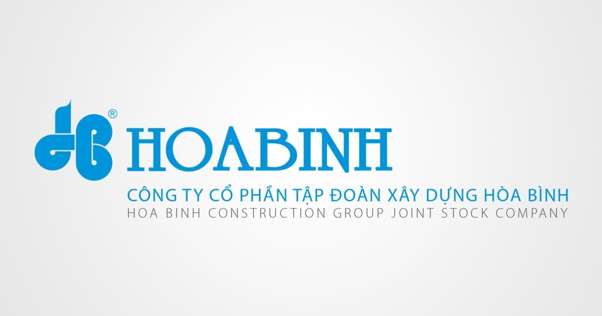 tap-doan-hoa-binh-1676013319.jpg