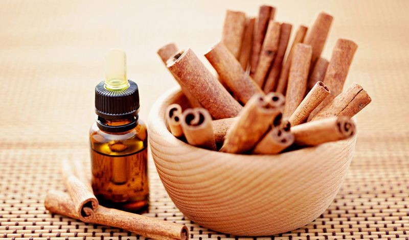 cinnamon-oil-get-rid-of-ants-1693293017.jpg