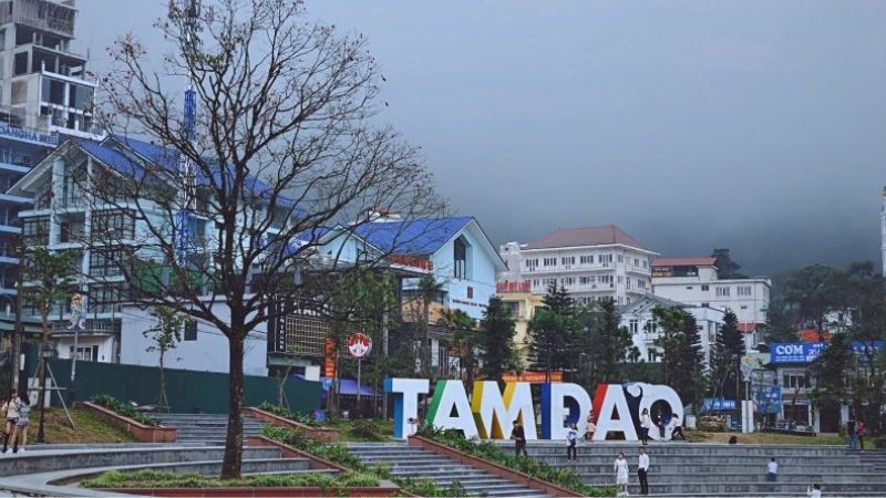 tam-dao-1697659799.jpg