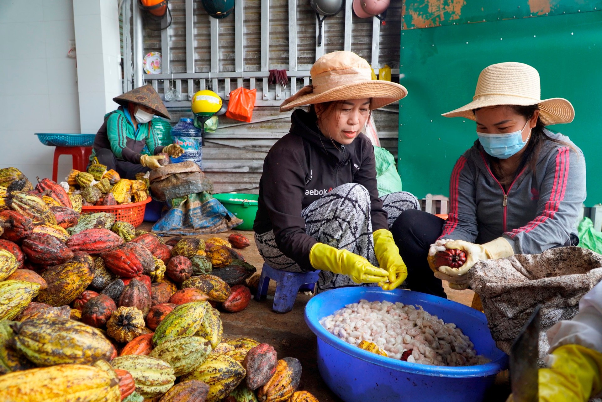 nhieu-chi-em-la-chu-doanh-nghiep-da-ho-tro-tao-cong-an-viec-lam-cho-nhieu-chi-em-khac-tren-dia-ban-tinh-dak-nong-trong-nhung-nam-qua-1721697968.jpg