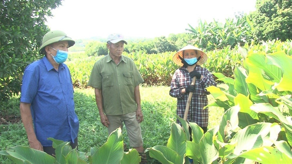 mien-dong-yen-lac-1721953526.jpg