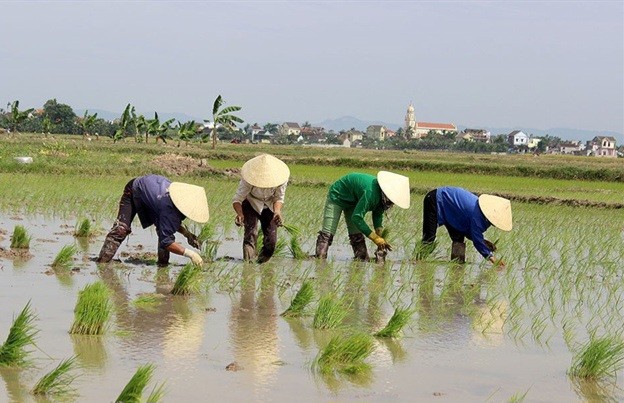 bn-quynh-luu-cy-som-nh-phu-huong6583407-1912019100145771-1724384193.jpg