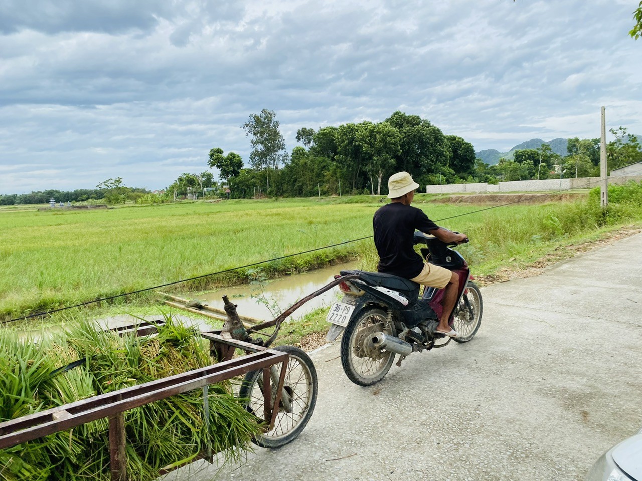 nongdantranhthugatlua-2-1725795202.jpg