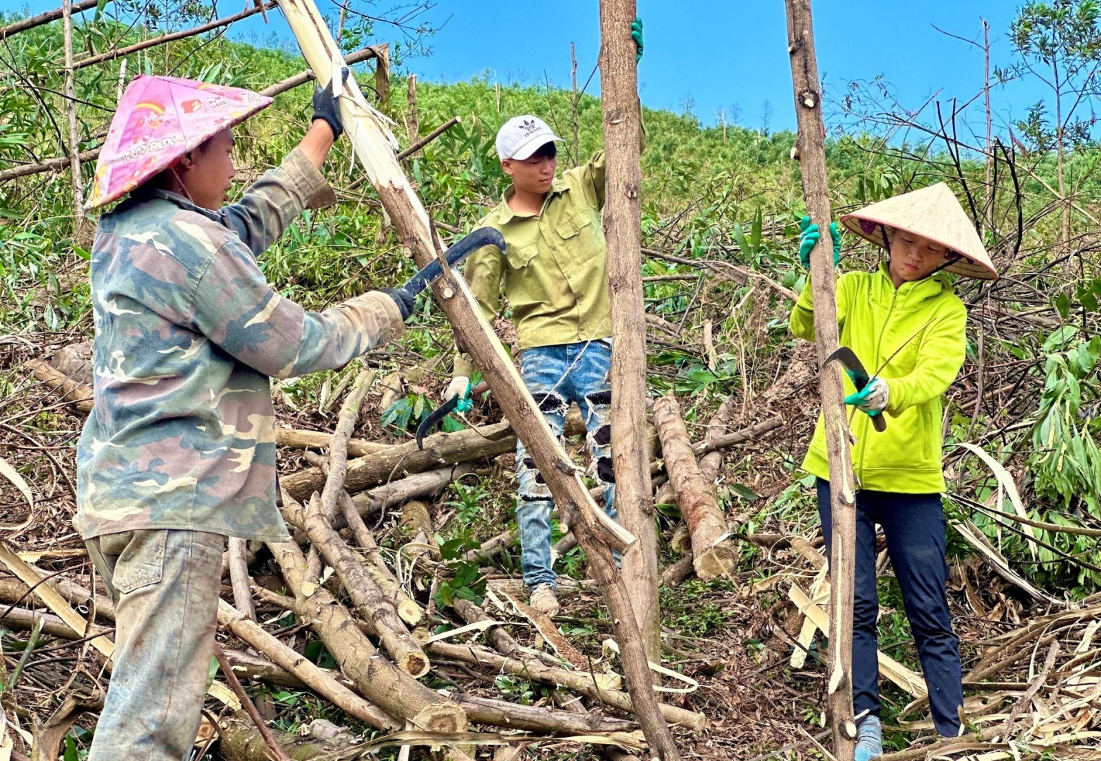 quang-ninh-phong-chay-rung-3-1728911429.jpg