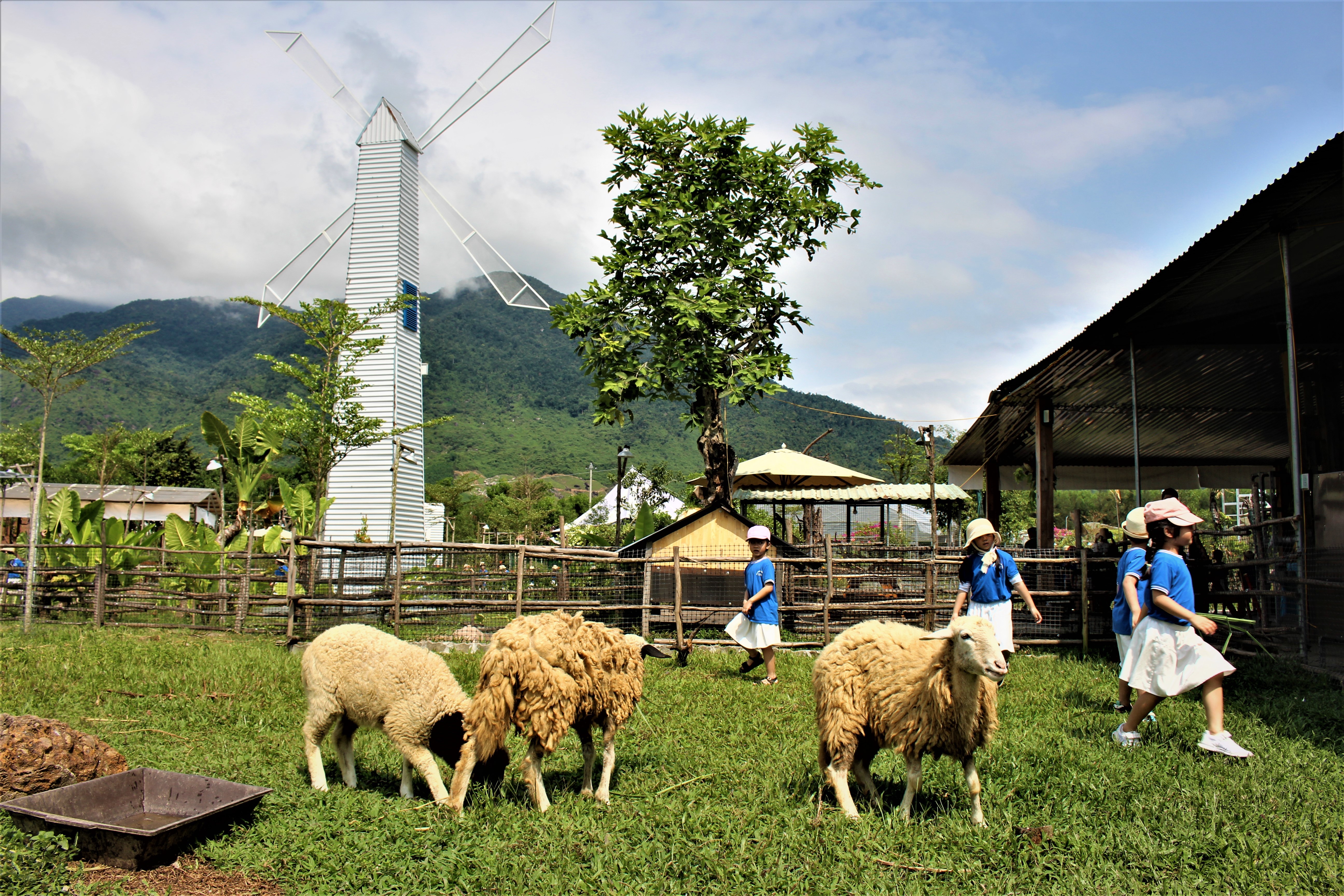 trai-nghiem-du-lich-tai-trang-trai-afarm-farm-on-smartphone-thon-hoa-hai-1738544335.jpg