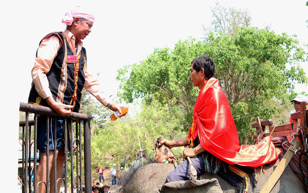 cung-suc-khoe-cho-voi-nghi-thuc-van-hoa-doc-dao-va-dac-sac-trong-khuon-kho-hoi-voi-buon-don-1741157042.jpg