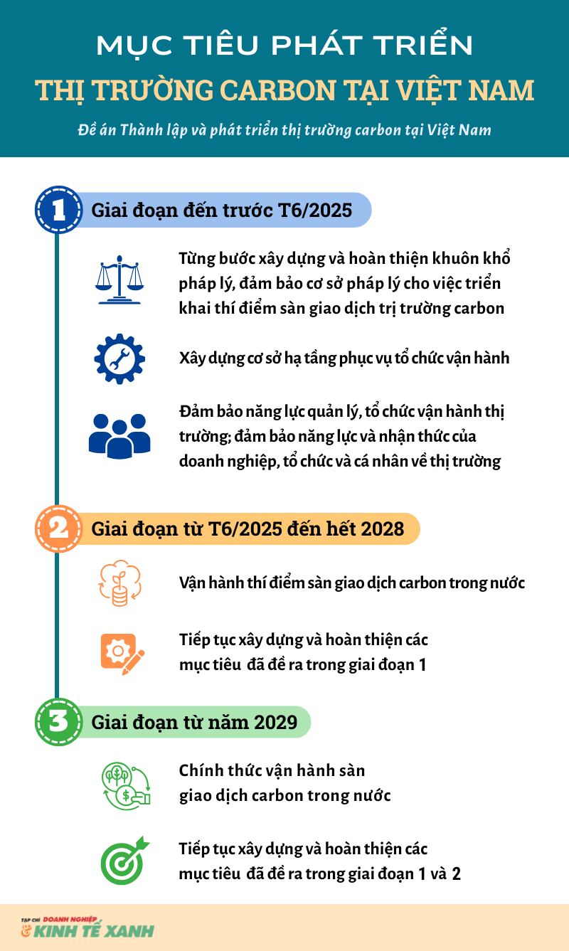 infographic-carbon-1-1-1741489527.png