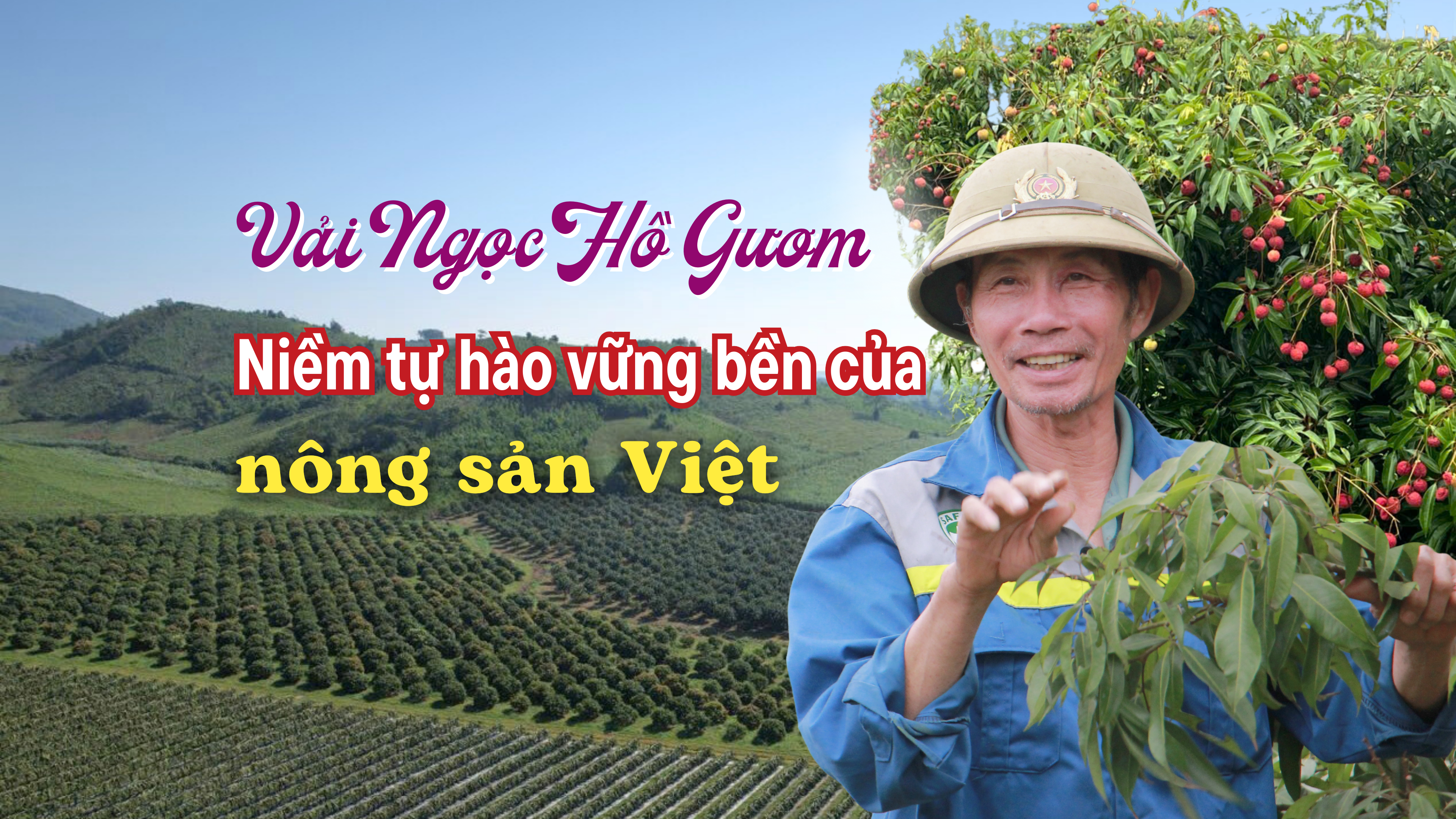 Vải Ngọc Hồ Gươm - Niềm tự hào vững bền của nông sản Việt